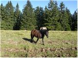 Planina Vodol - Veliki Travnik